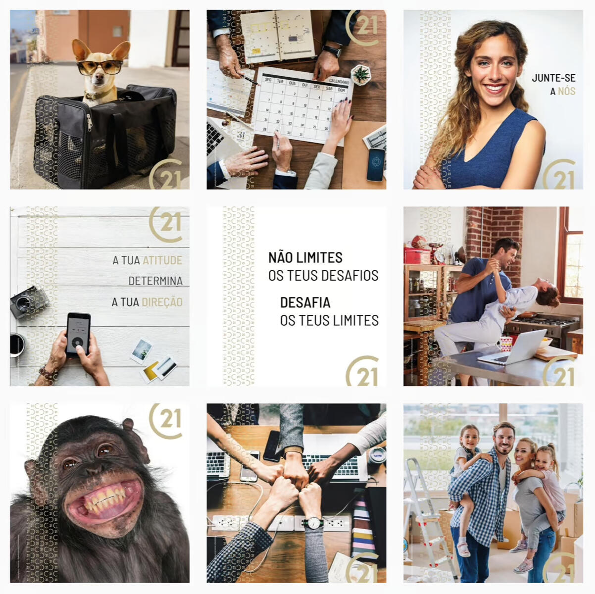 C21 Rebrand Posts Grids